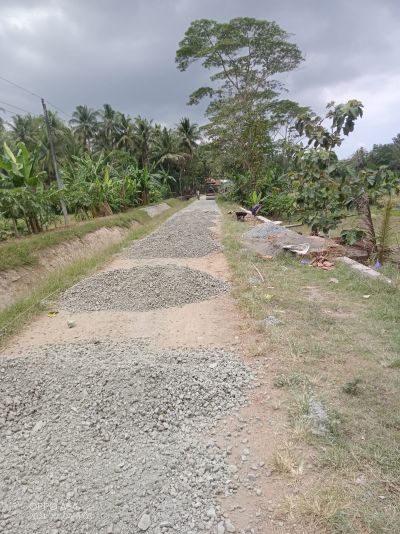 Pembangunan jalan Desa